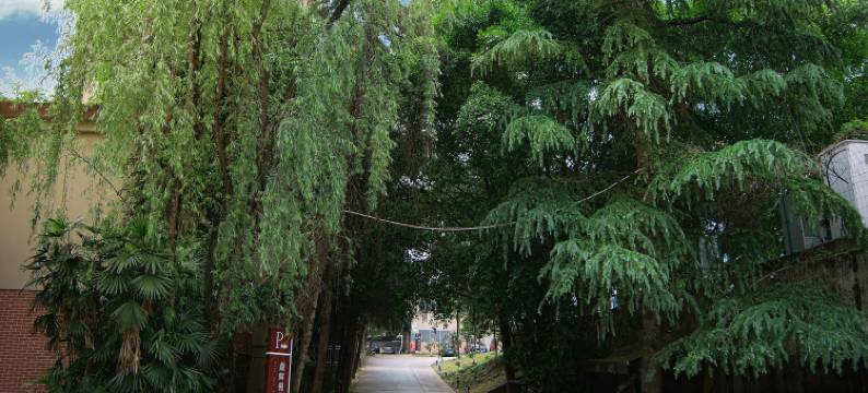 武隆鼎辉假日酒店图片