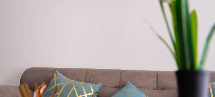 凯斯特国际公寓酒店(Kester International Apartment Hotel)图片