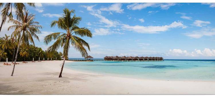Maldives Tour Guide (Chinese speaking Certified)图片