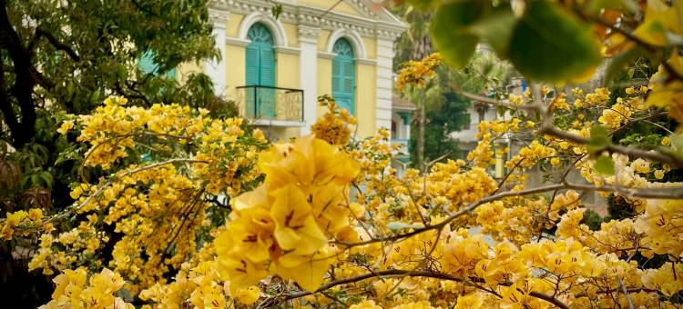 加德满都KGH大酒店(KGH Thamel)图片