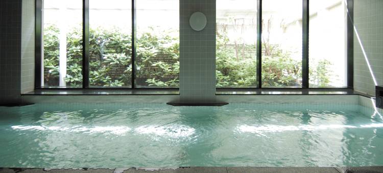 奈良日航国际酒店(Hotel Nikko Nara)图片