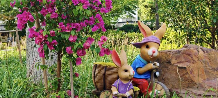 苏州金陵南林饭店图片