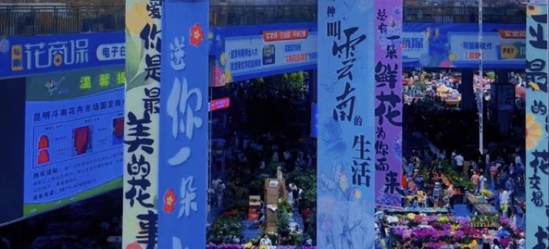 昆明鑫盛达宏晟国际酒店(斗南花市店)图片