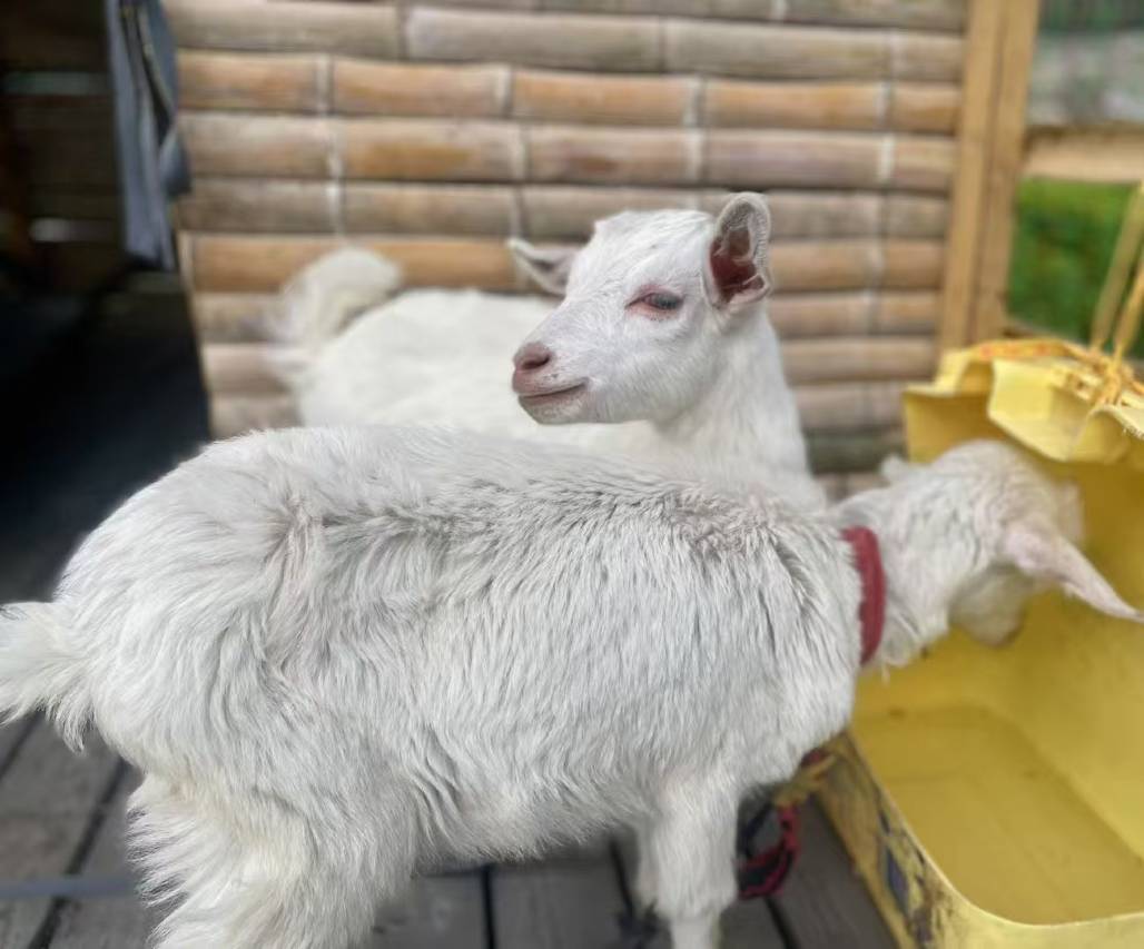 宁海汉雅开元温泉度假酒店图片