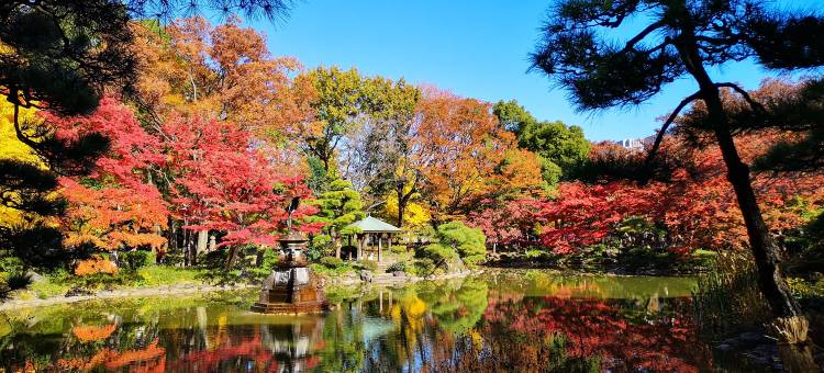 东京威斯汀酒店(The Westin Tokyo)图片