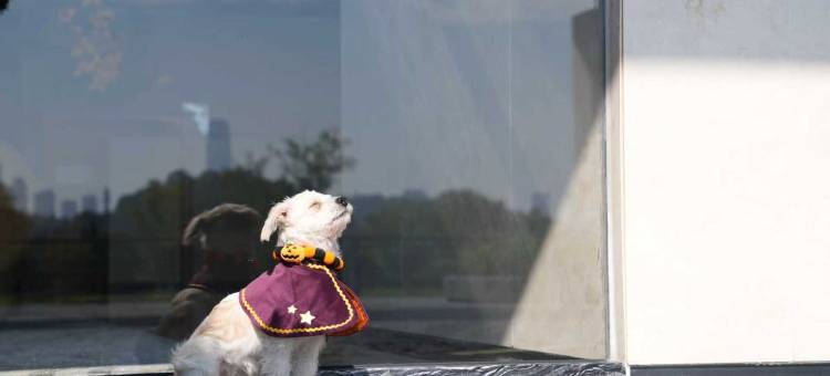 长沙岳麓万豪酒店图片