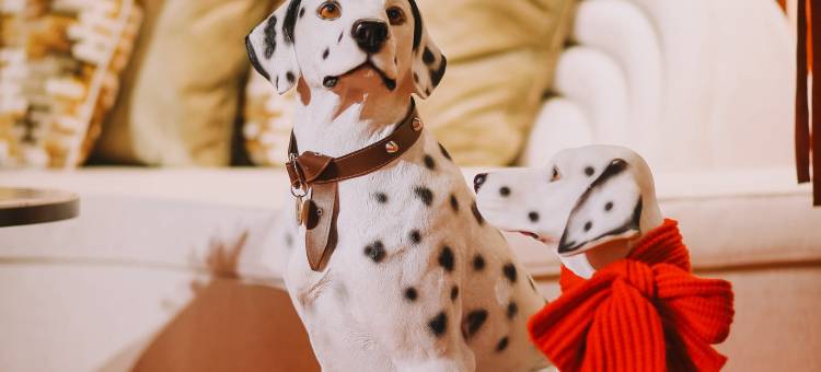 广州四季酒店图片