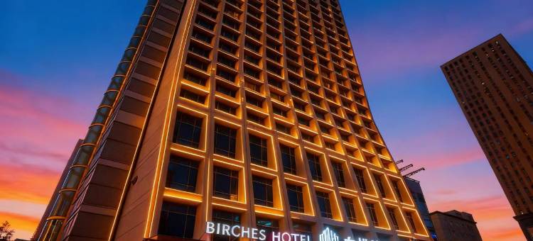 白桦林酒店(青年大街沈阳音乐学院店)图片