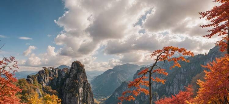 黄山高铁站凯悦嘉轩酒店图片