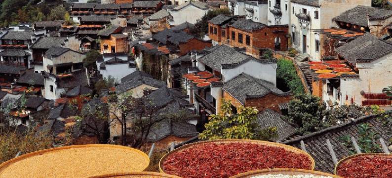 婺里小筑城市民宿(上饶市婺源文化广场店)图片