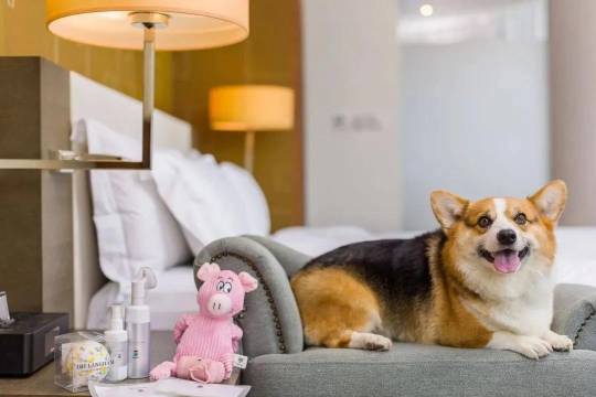 雷神电竞民宿(广汉百伦广场店)图片