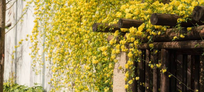 濮院时尚古镇ID设计公寓图片