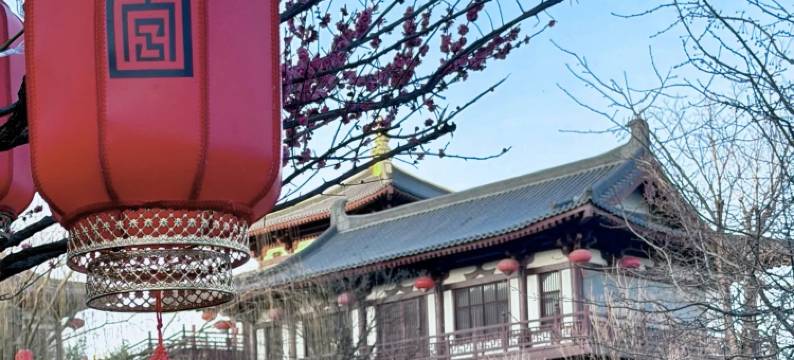 洛阳上阳宫唐文化主题酒店图片