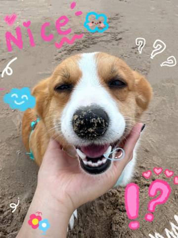 湄洲岛默·Sunshine海景度假民宿(湄洲妈祖祖庙莲池澳沙滩店)图片