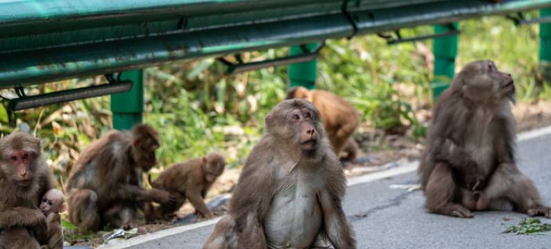 见吾乡·崃漫度假民宿(皖南川藏线店)图片