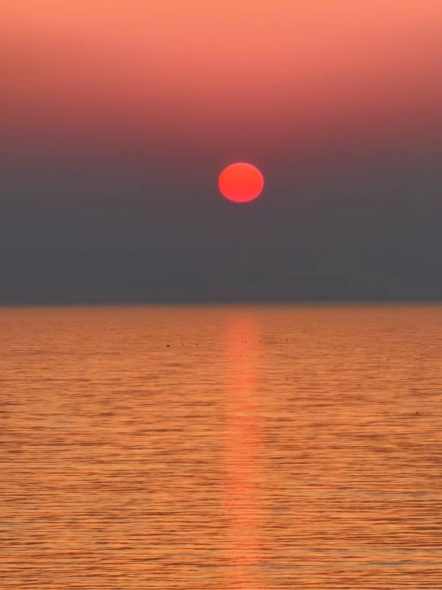 烟台丽景海居酒店(养马岛环岛路店)图片