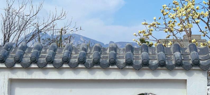 登封有鹿民宿(嵩山风景区店)图片