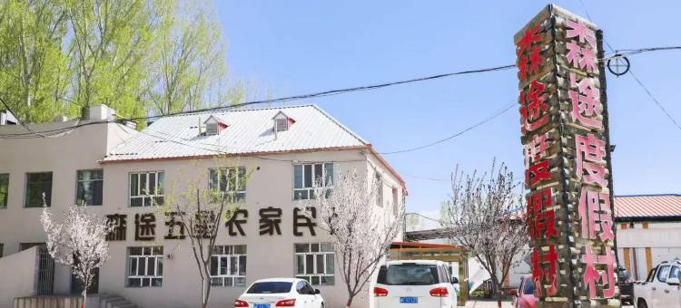 特克斯森途五星农家民宿图片