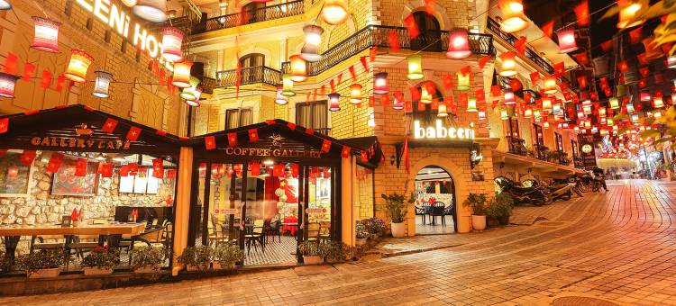 萨帕巴比尼家庭酒店(Babeeni Family Hotel)图片