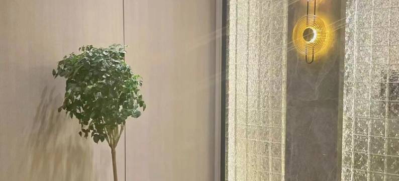 佳美酒店(黄金大道店)图片