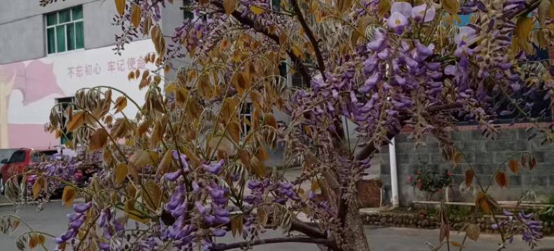 建德明森民宿图片