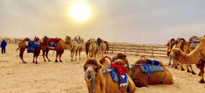 沙恋星户外露营图片