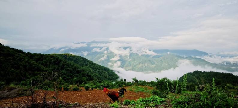 岚皋南山别院图片