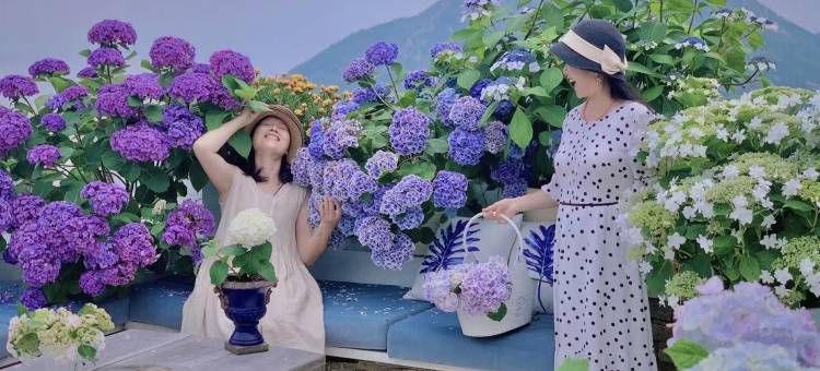 霞浦花沁石民宿图片