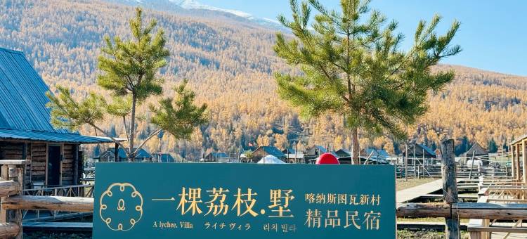 喀纳斯一棵荔枝.墅图片