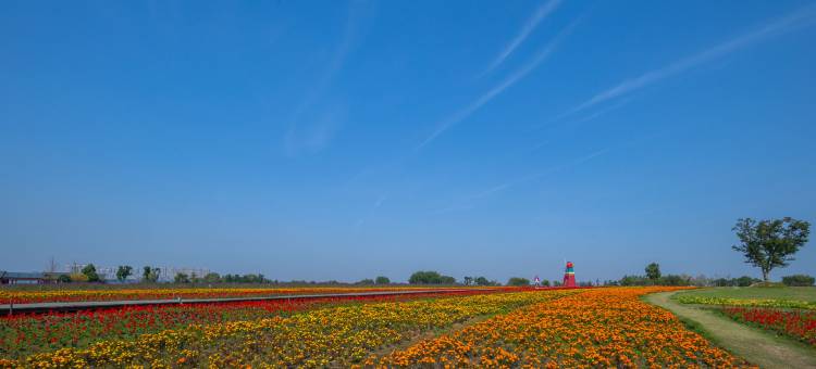 轩怡优佳酒店(铜陵翠湖路店)图片