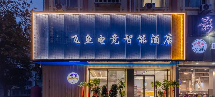 枞阳飞鱼电竞智能酒店图片