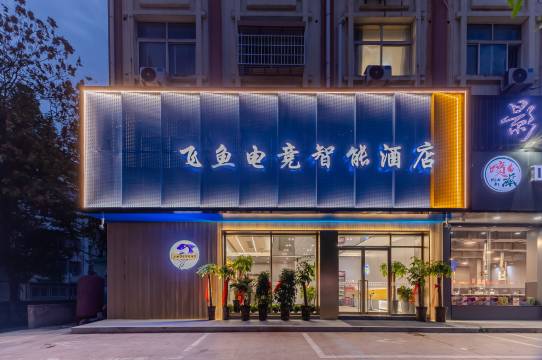 枞阳飞鱼电竞智能酒店