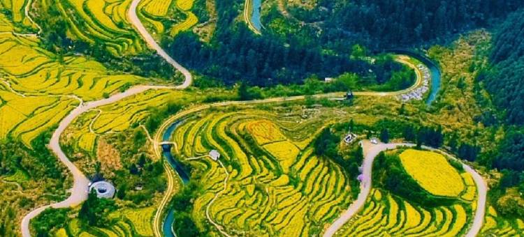 婺源积微山舍(思溪延村景区店)图片