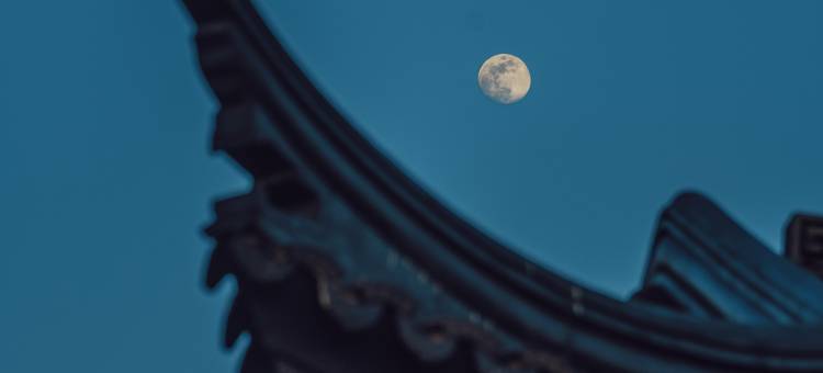 蓝城桃花源温泉合院图片