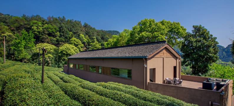 杭州龙井茂居酒店图片