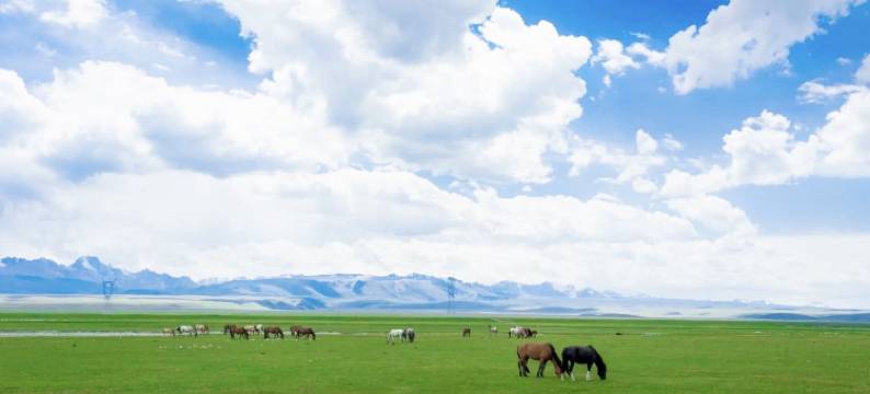 飞驰巴音度假营地(巴音布鲁克景区店)图片