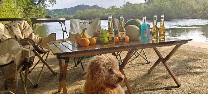 香遇·老樟树民宿图片