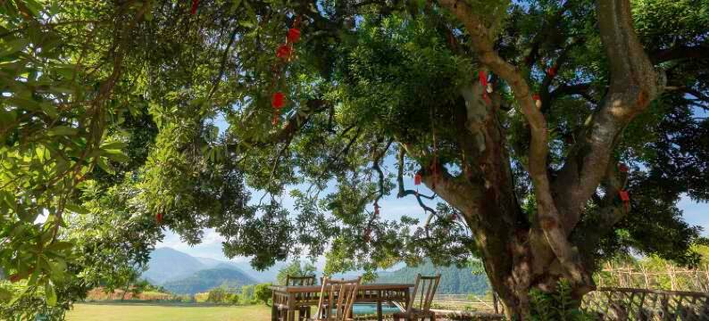 桐庐岭上·牛公山民宿图片