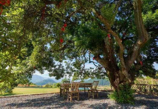 Lingshang Niugongshan HomestayHotel Overview