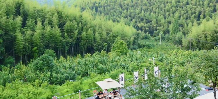 安吉山景星空·拾果哩民宿(安吉浙北大峡谷将军关漂流店)图片
