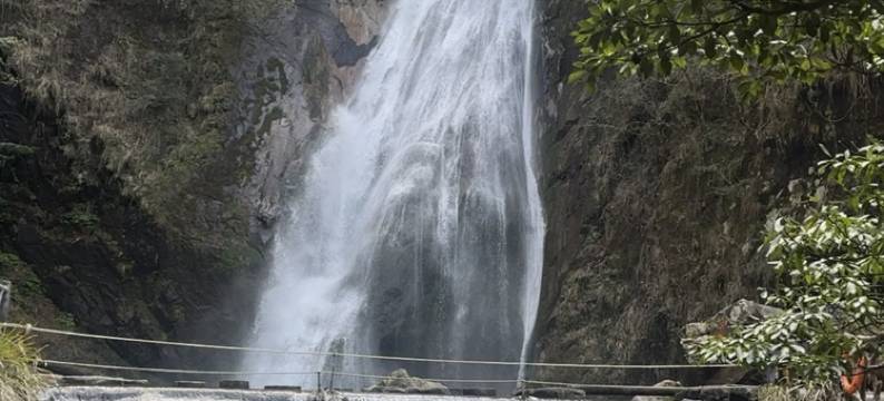 神农谷望山名宿(神农谷国家森林公园店)图片