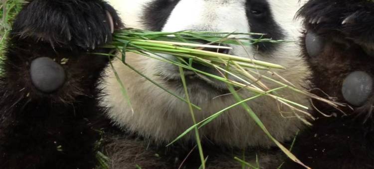 千尘居民宿图片