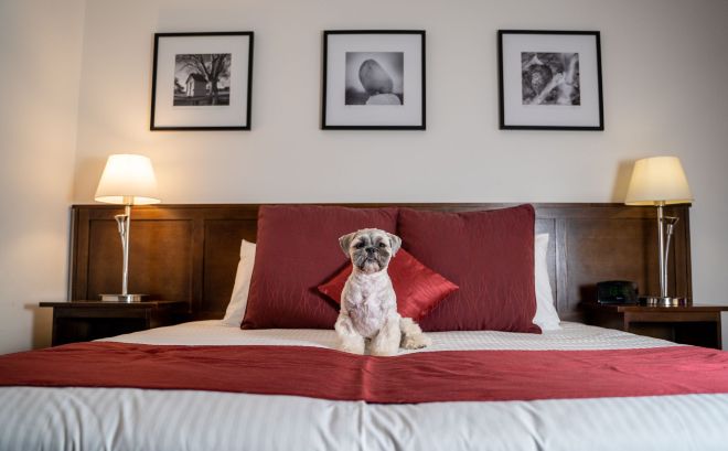 Mercure Canberra Hotel Overview