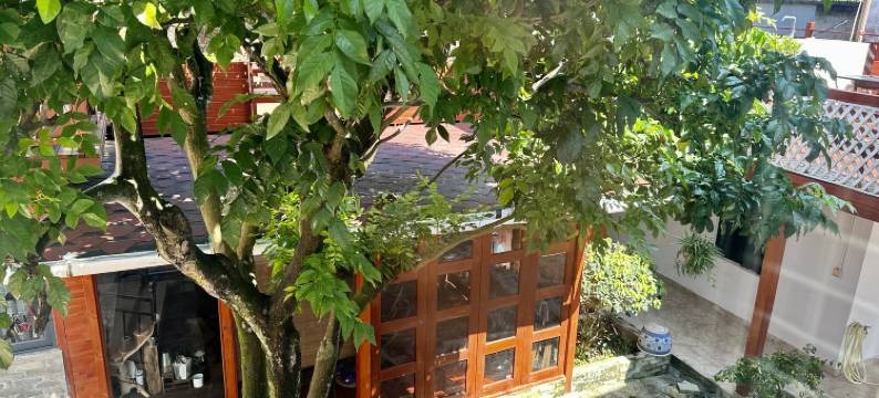 珠海其华客栈图片