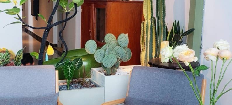 昆明七喜海景酒店(斗南花市店)图片