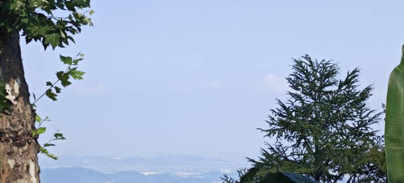 林墅酒店(莫干山景区内荫山街换乘处店)图片