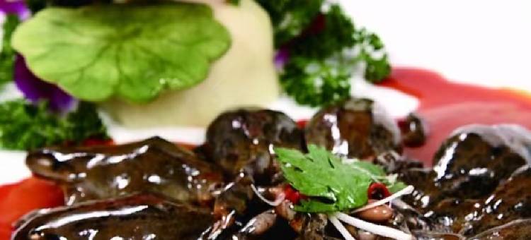 吉林鑫悦山庄图片