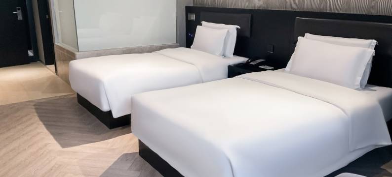 桔子水晶上海国际旅游度假区川沙酒店图片