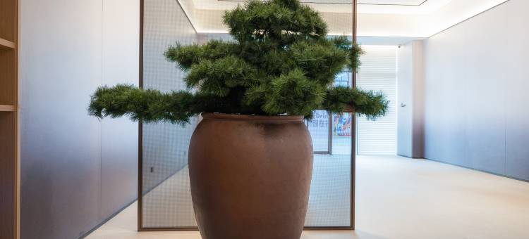 全季酒店(济南汉峪金谷凤凰路店)图片