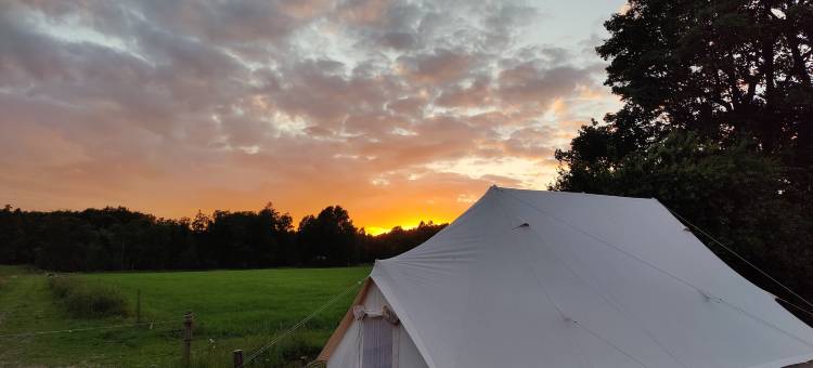 Under Canvas 博恩霍尔姆(Under Canvas Bornholm)图片